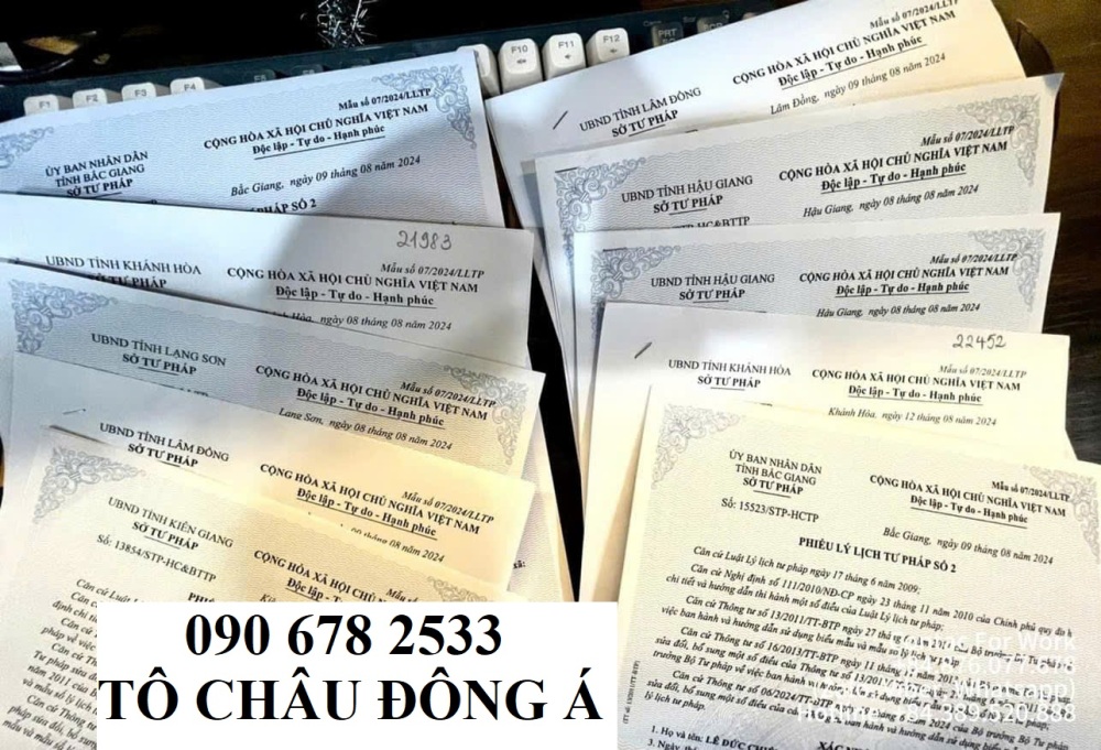 Dịch vụ làm lý lịch tư pháp online tại nhà ở Long An